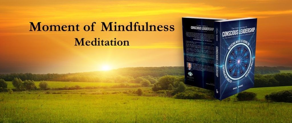 Moment of Mindfulness